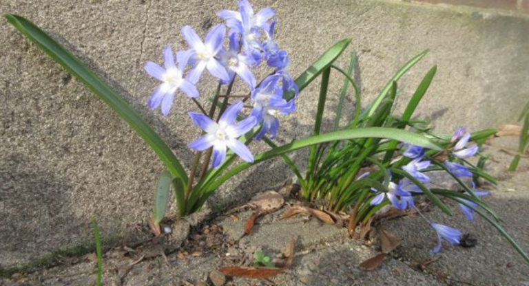 Lasst uns unsere Samtgemeinde bunter machen